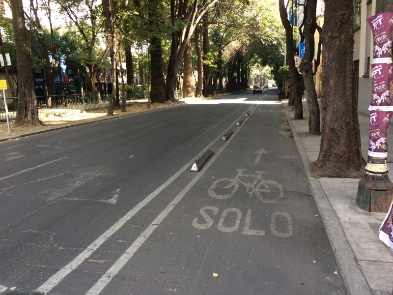 Protected Bike Lane